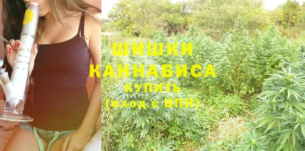 молекула духа Алзамай