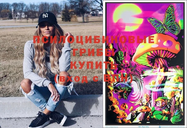молекула духа Алзамай