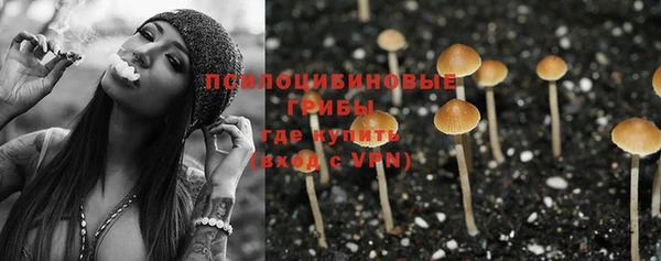 молекула духа Алзамай