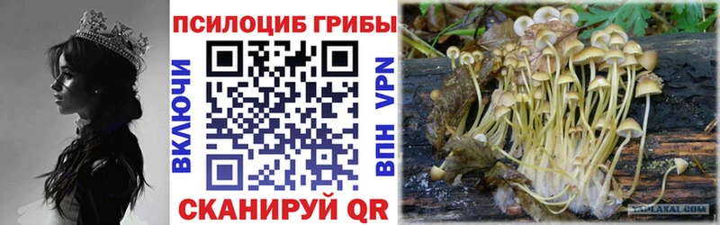 сайты даркнета формула  Дыгулыбгей  Галлюциногенные грибы GOLDEN TEACHER  продажа наркотиков 
